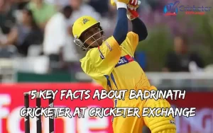 badrinath cricketer